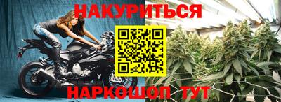 сатива Ачхой-Мартан
